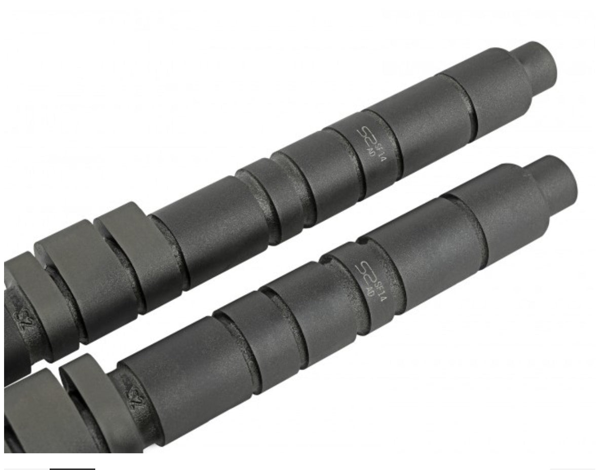 Skunk2 Pro Stage 1 + Camshaft - B VTEC