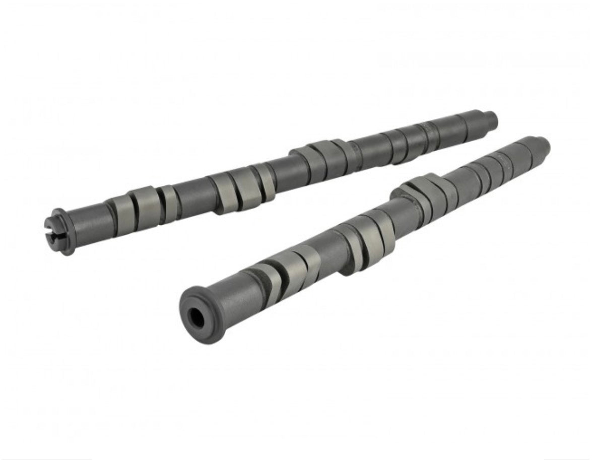 Skunk 2 Pro Stage 2+ Camshaft- B VTEC