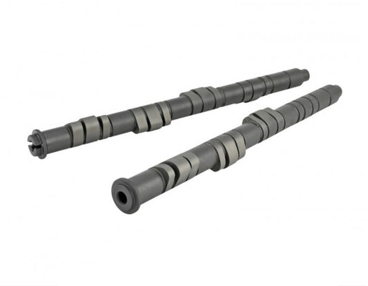 Skunk 2 Pro Stage 2+ Camshaft- B VTEC